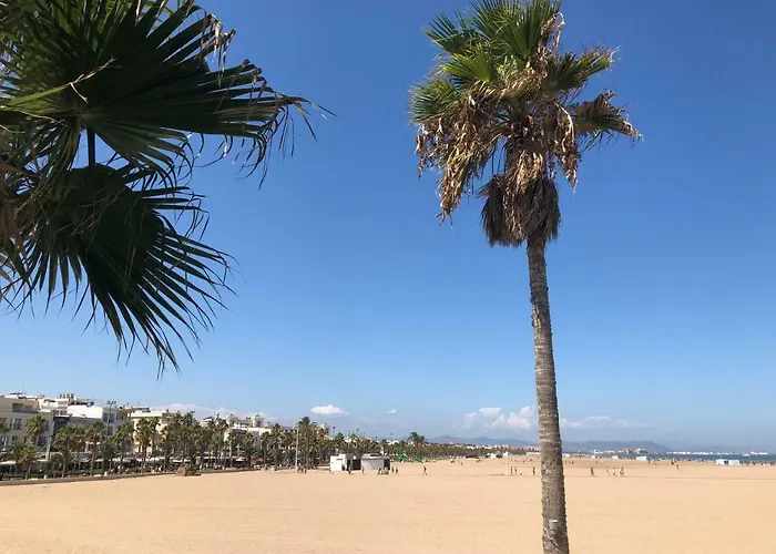Gold Beach バレンシア